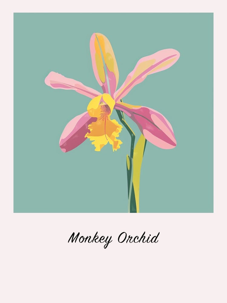 Monkey Orchid 1 Square Flower Illustration Poster