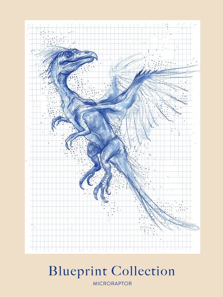 Microraptor Dinosaur Blue Print Sketch 2 Poster