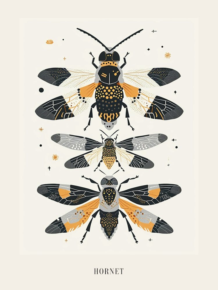 Colourful Insect Illustration Hornet 7 Poster