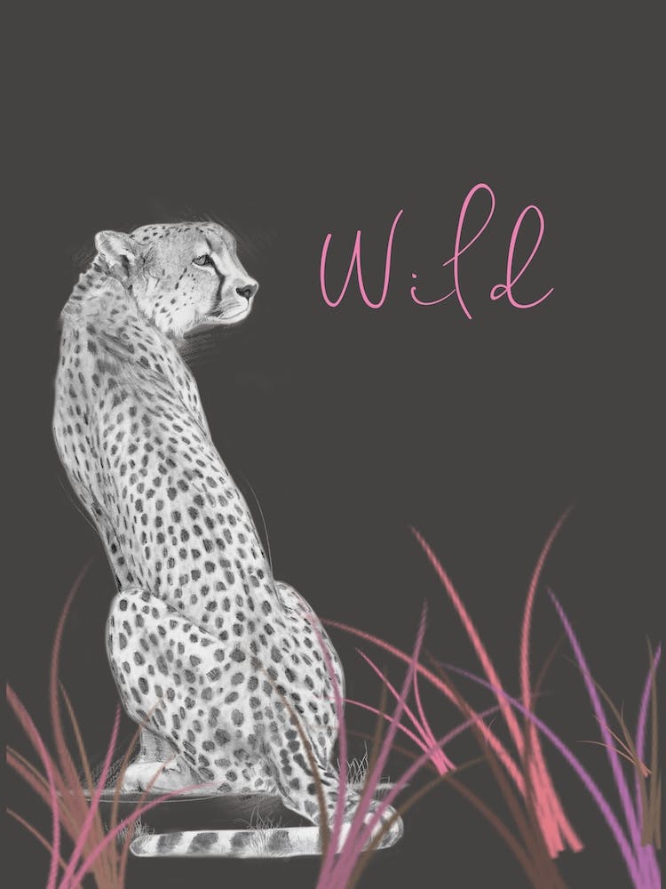 Pink Wild Cheetah