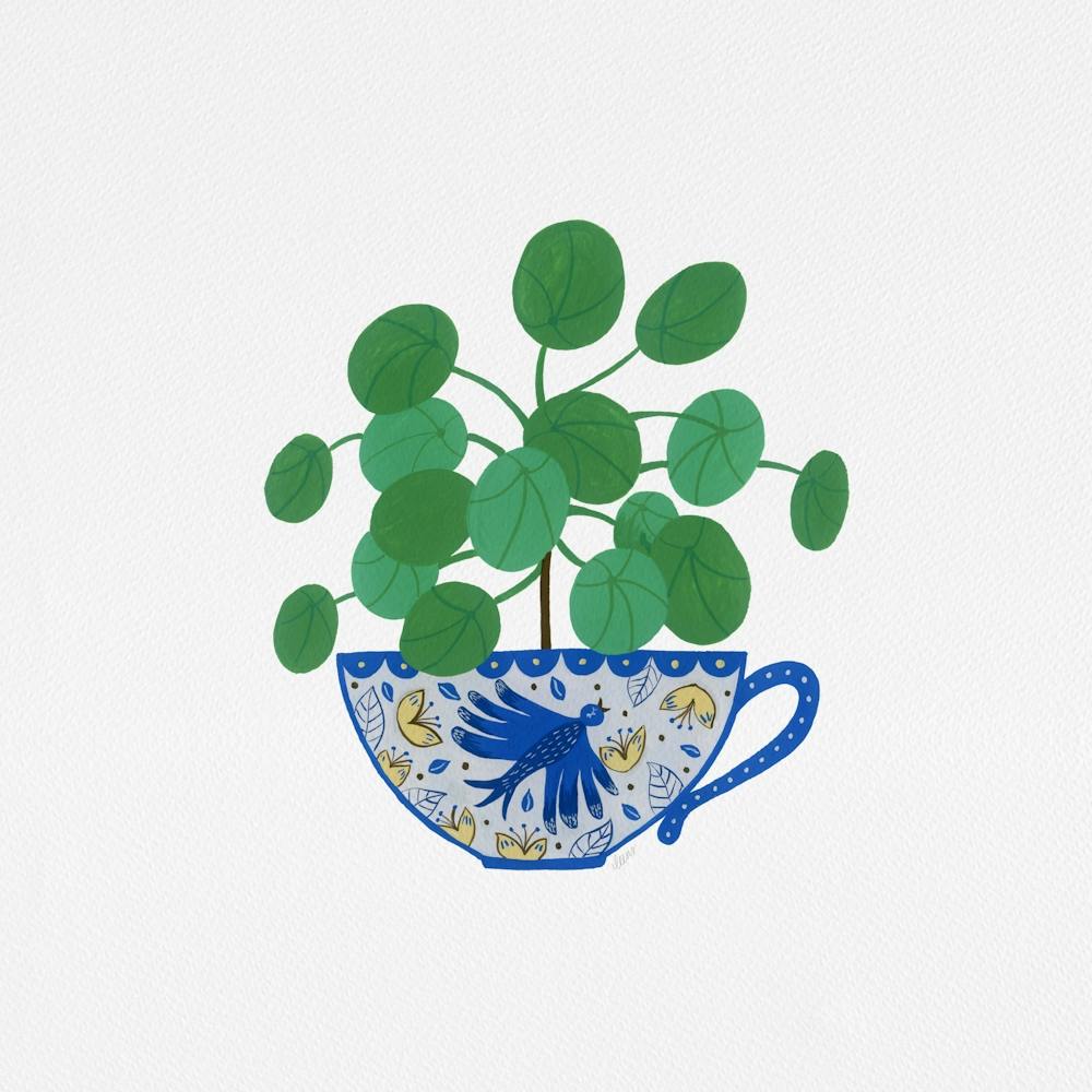 Pilea Peperomioides Plante d'Intérieur Peinture Tasse de Thé