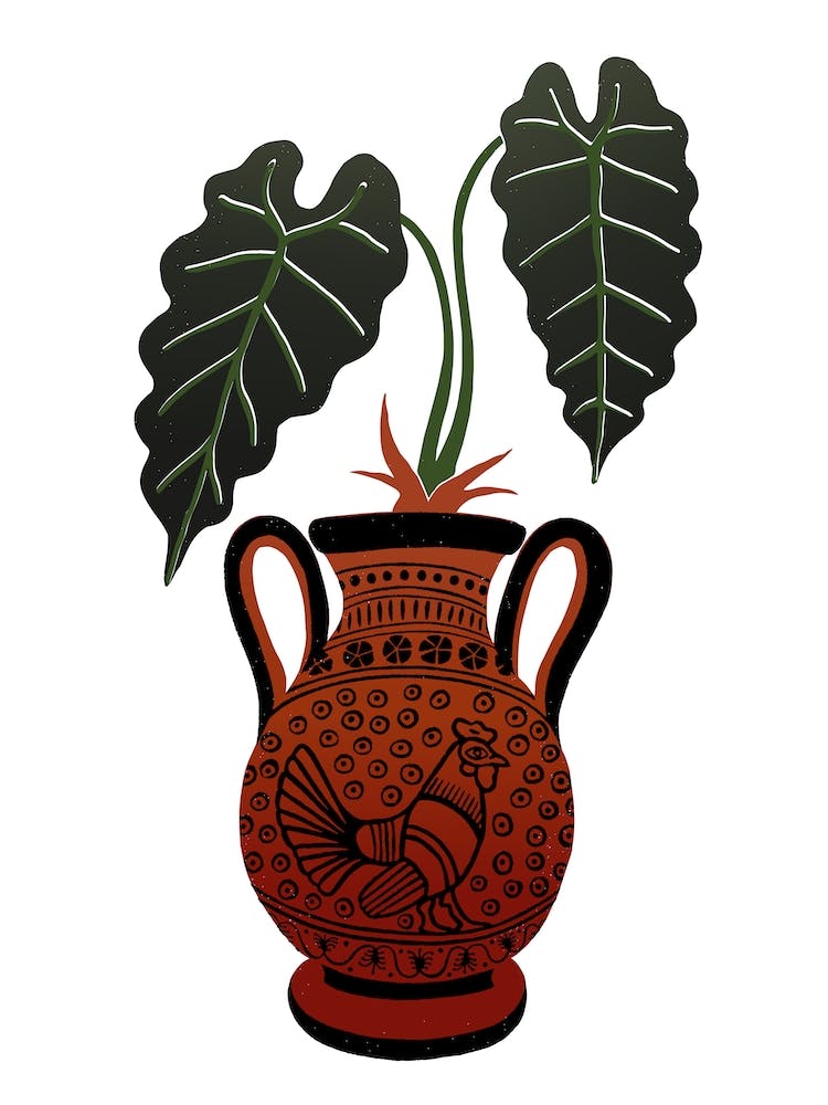 Amphora