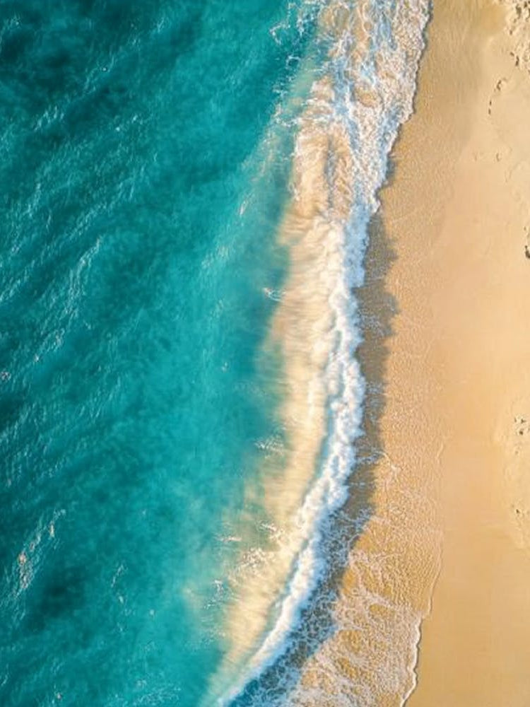 Aerial View Of A Beach 143