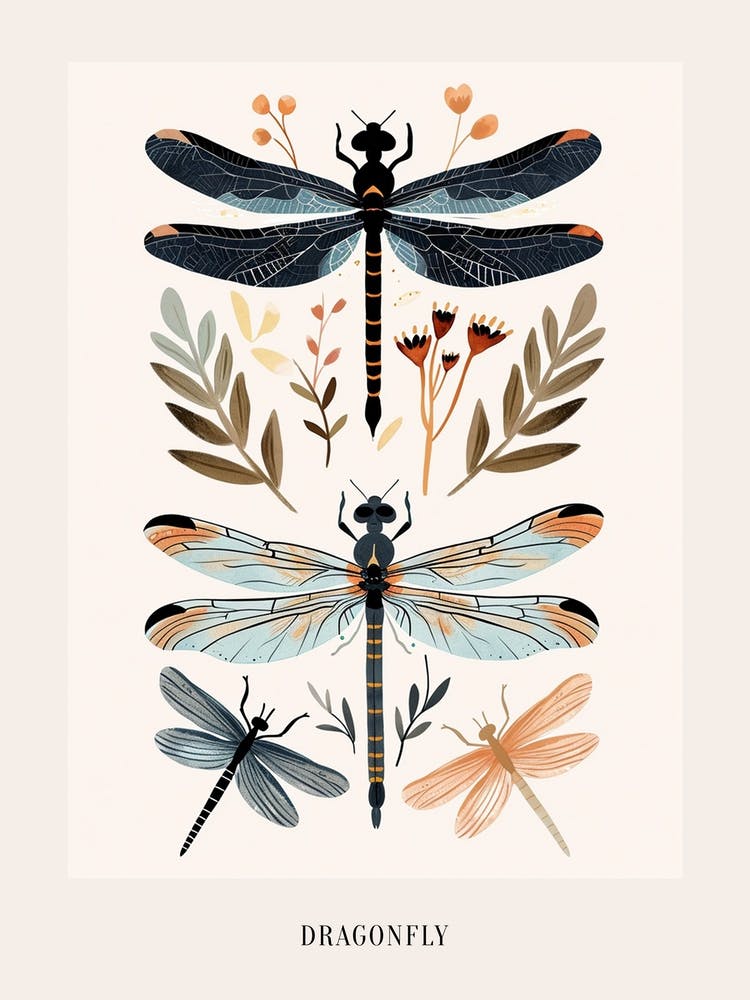 Colourful Insect Illustration Dragonfly 4 Poster