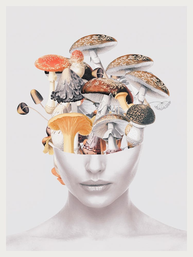 Mushroom Lady 3