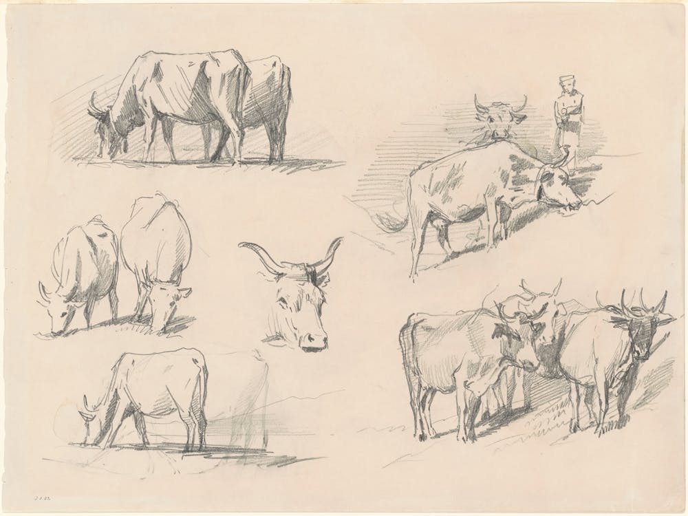 Studies Of Cattle, John Singer Sargent