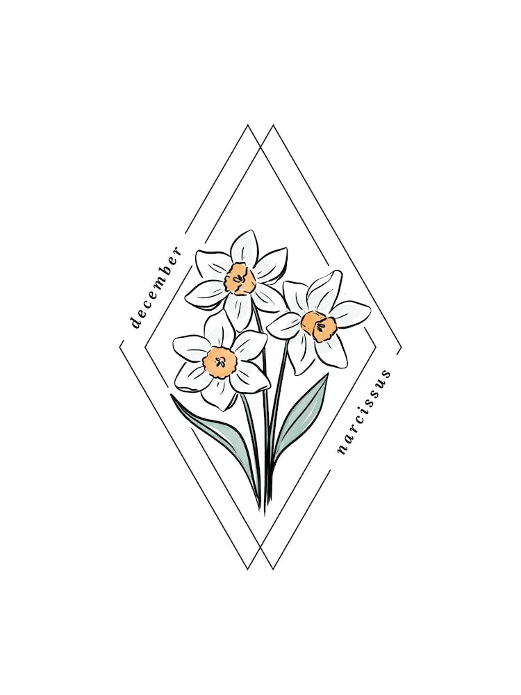 Fleur de Naissance Narcisse de Décembre | Cadre Diamant