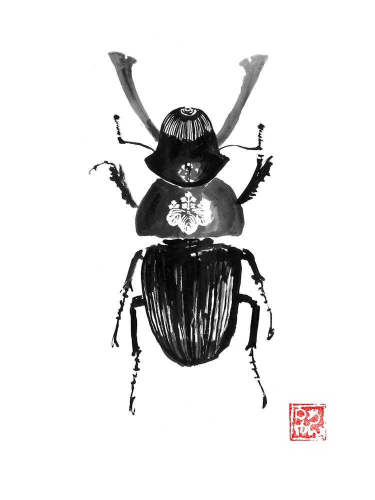 Samurai Beetle