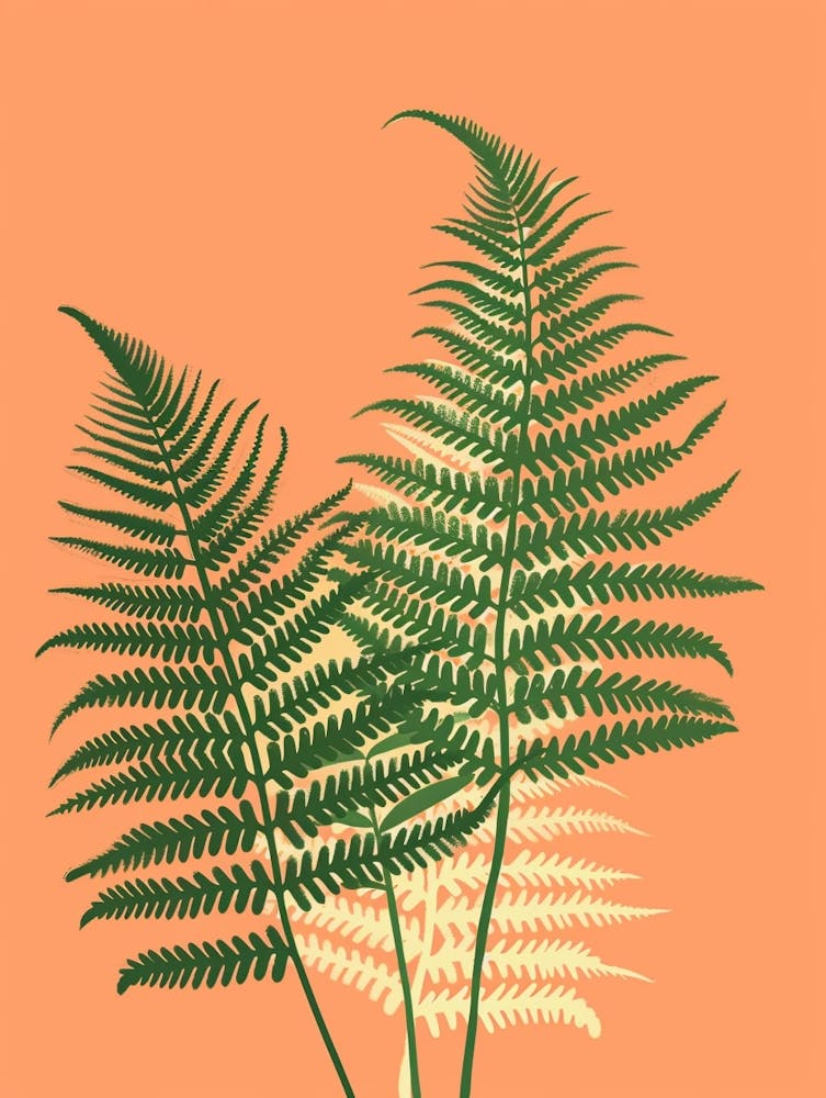 Fern Plant Minimalist Illustration 8
