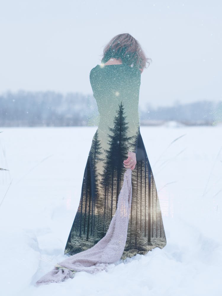 Whispers Of The Nordic Forest Digital Art By Aine Nordic Whisperer