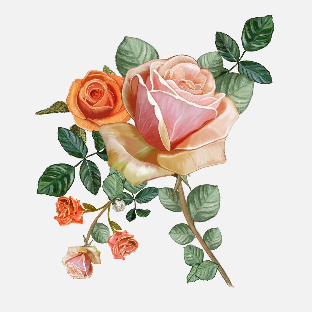 Heirloom Roses Bouquet