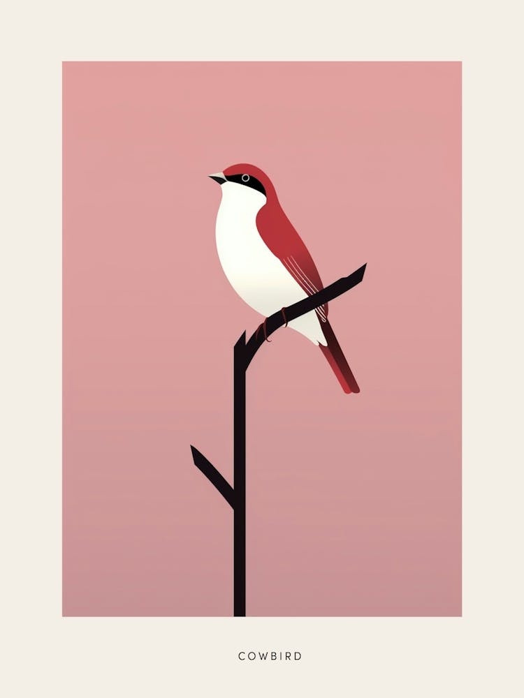 Minimalist Cowbird Bird Poster