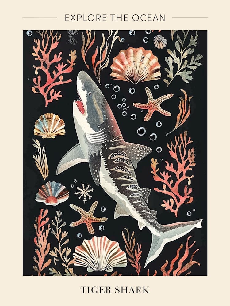Tiger Shark Seascape Black Background Illustration 3 Poster