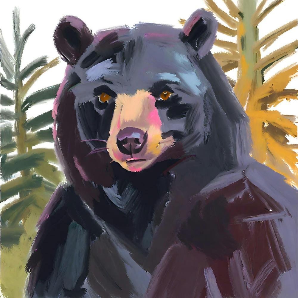 Black Bear 04