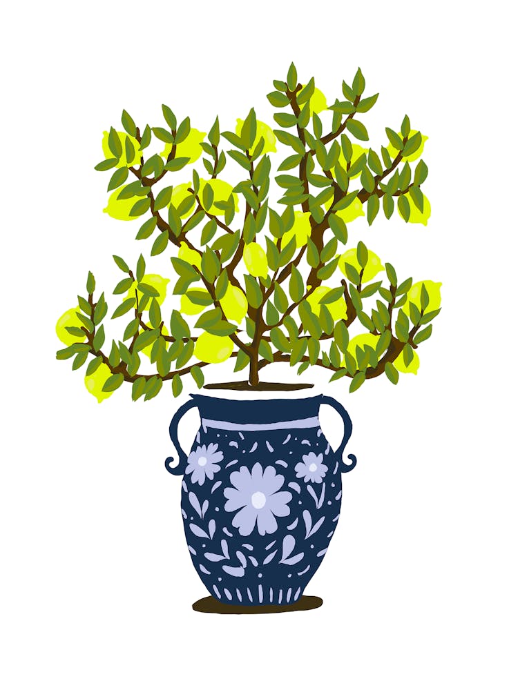 Chinese Potted Plant