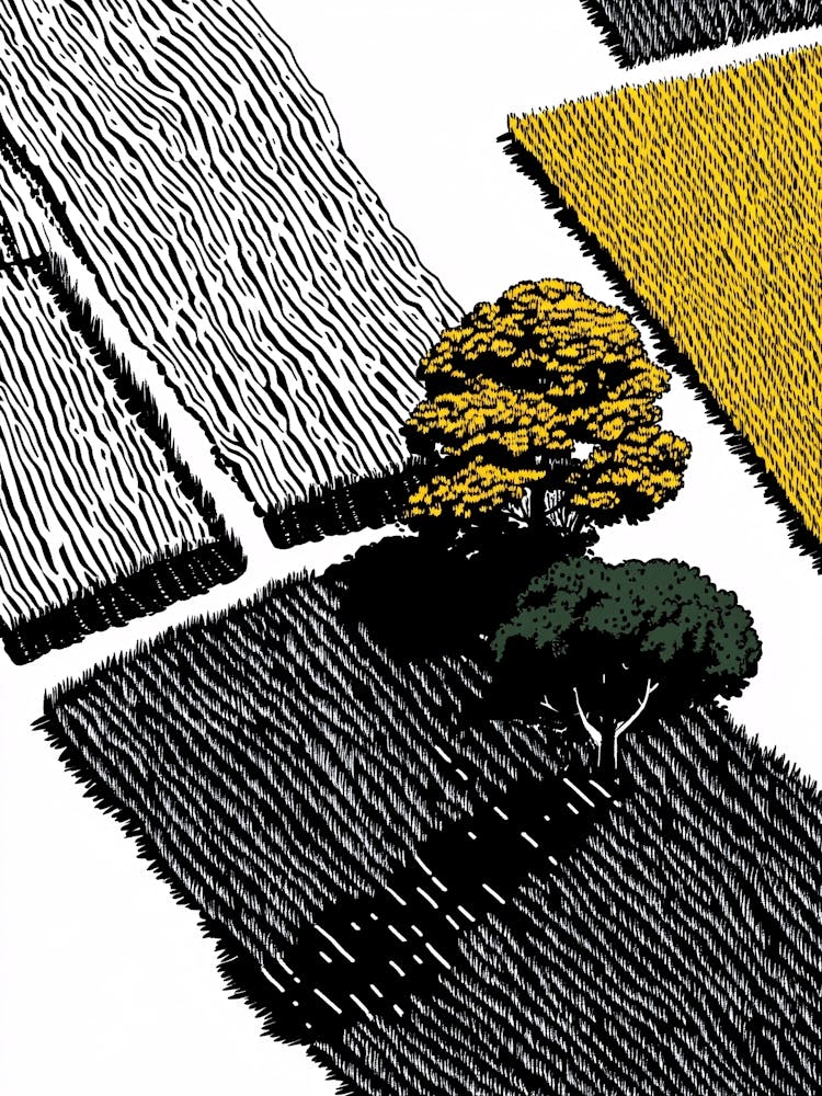 Tree In A Field