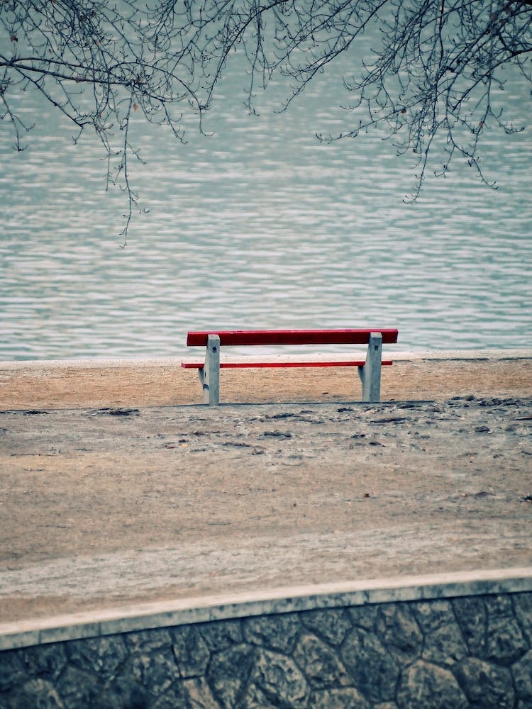 Bench By The Danube