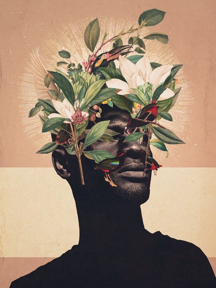 Birds Are My Real Origin