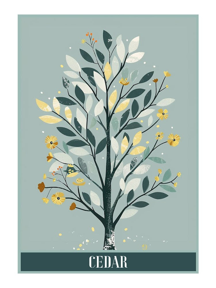 Cedar Tree Flat Illustration 1 Poster