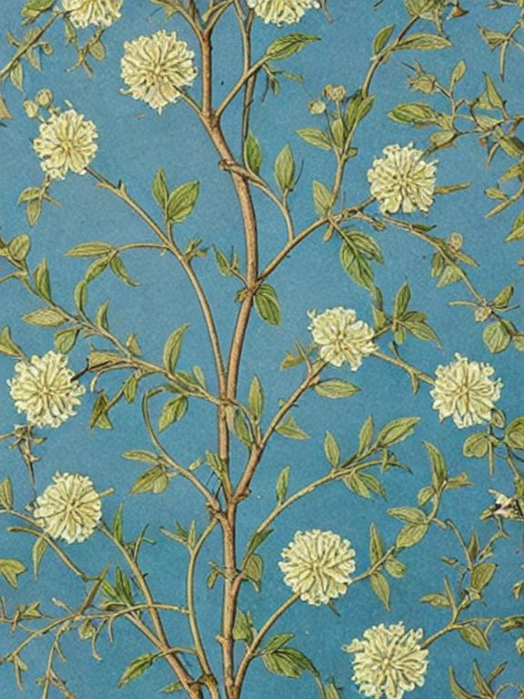 Acacia 1 tree Vintage Botanical