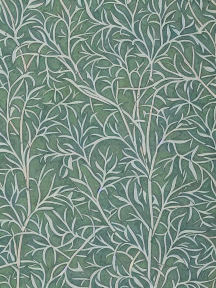 Southern Red Oak 2 tree Vintage Botanical