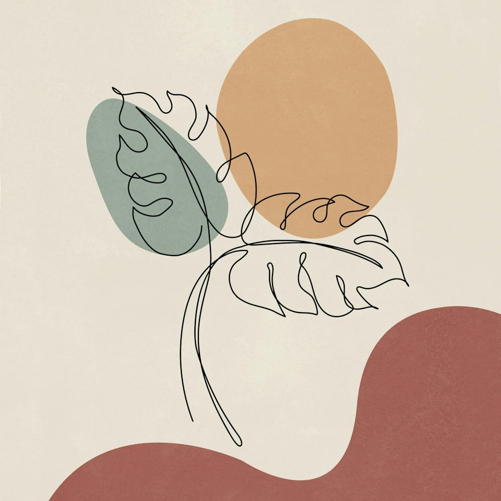 Monstera in Lines and Shapes