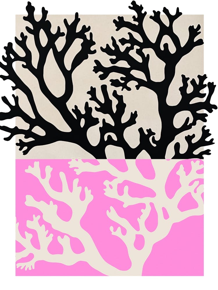 Coral Pink