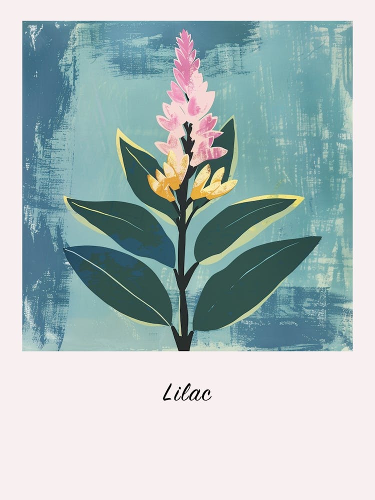 Lilac 2 Square Flower Illustration Poster