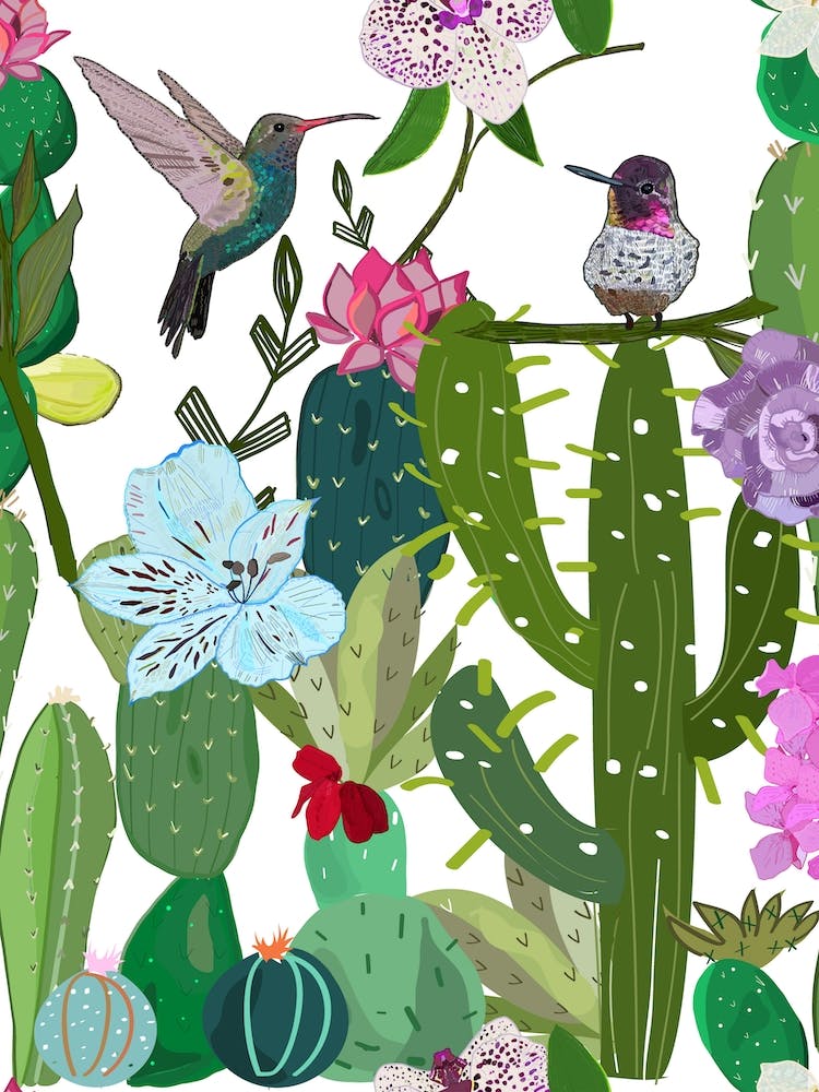 Cactus Succulents Bird