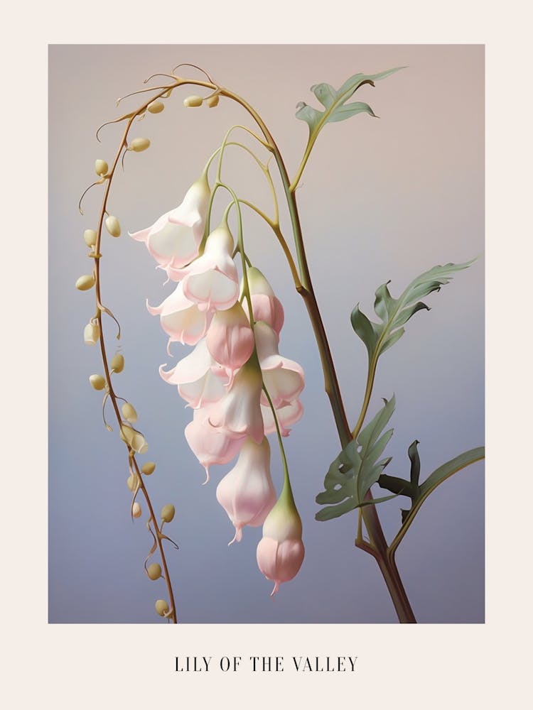 Floral Illustration Lily Of The Valley Poster