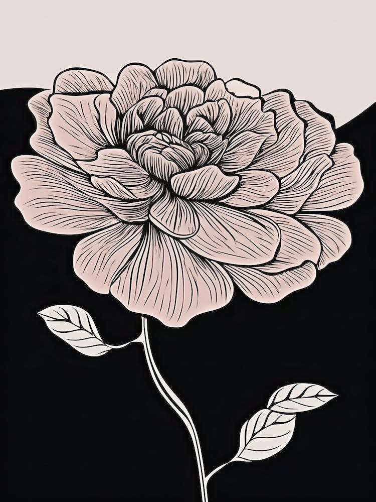 Dahlia Line Art Flowers Illustration Neutral 7