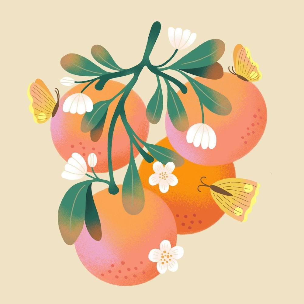 Pink Grapefruit Square