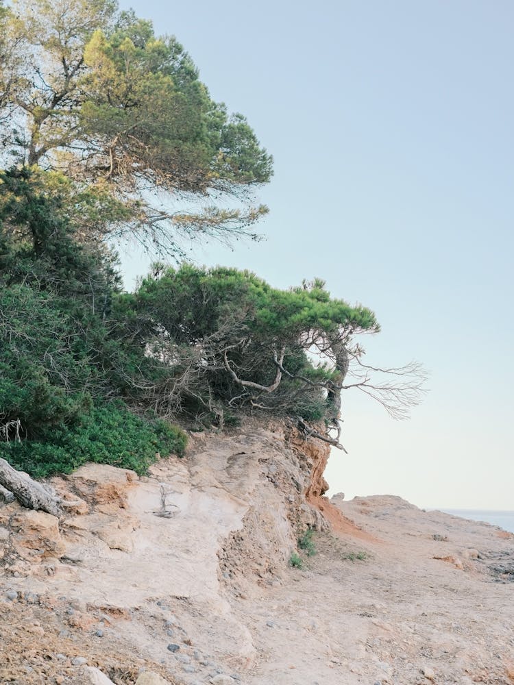 Rocky Beach // Ibiza Nature Photography 