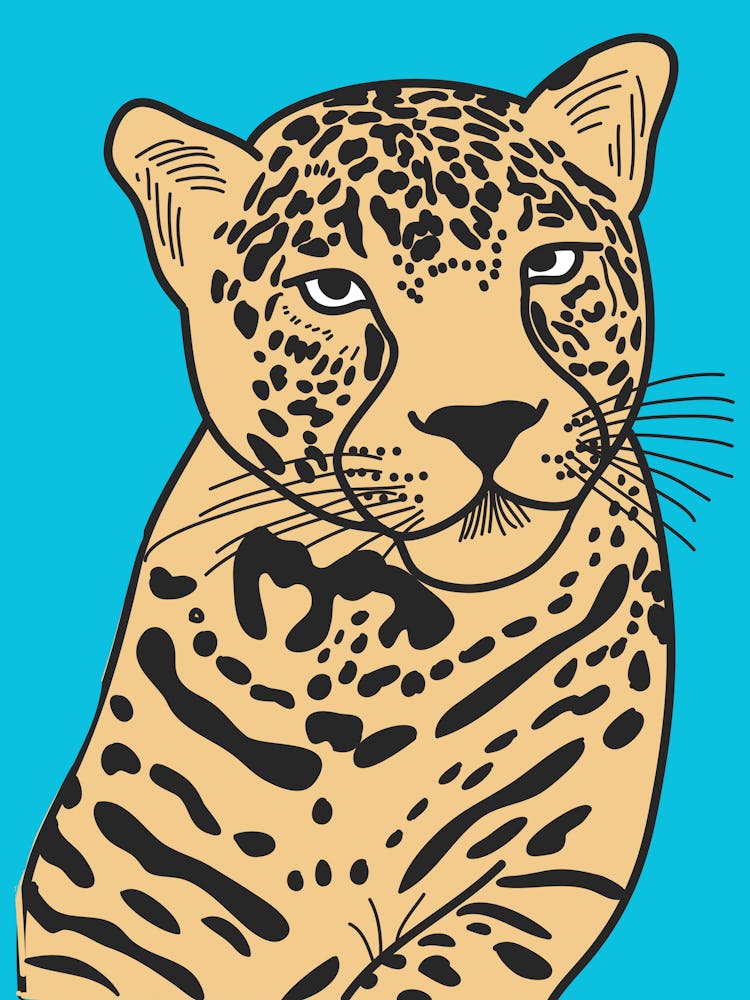 Leopard 12