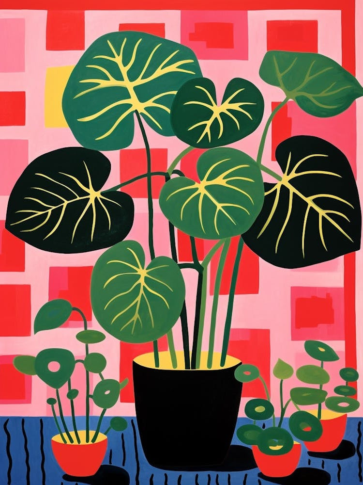 Pink And Red Plant Illustration Monstera 2