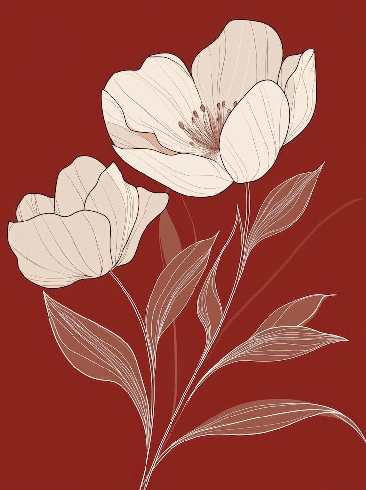 Weiße Blumen Auf Rotem Hintergrund