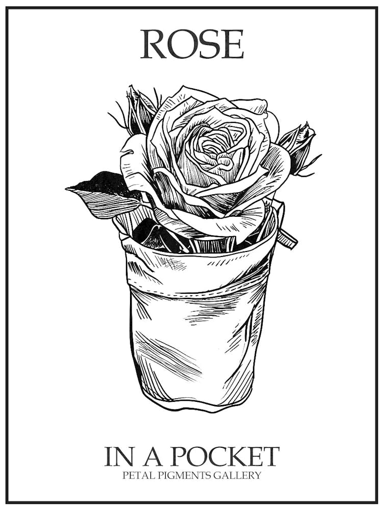 Rose In A Pocket Line Drawing 2 Poster