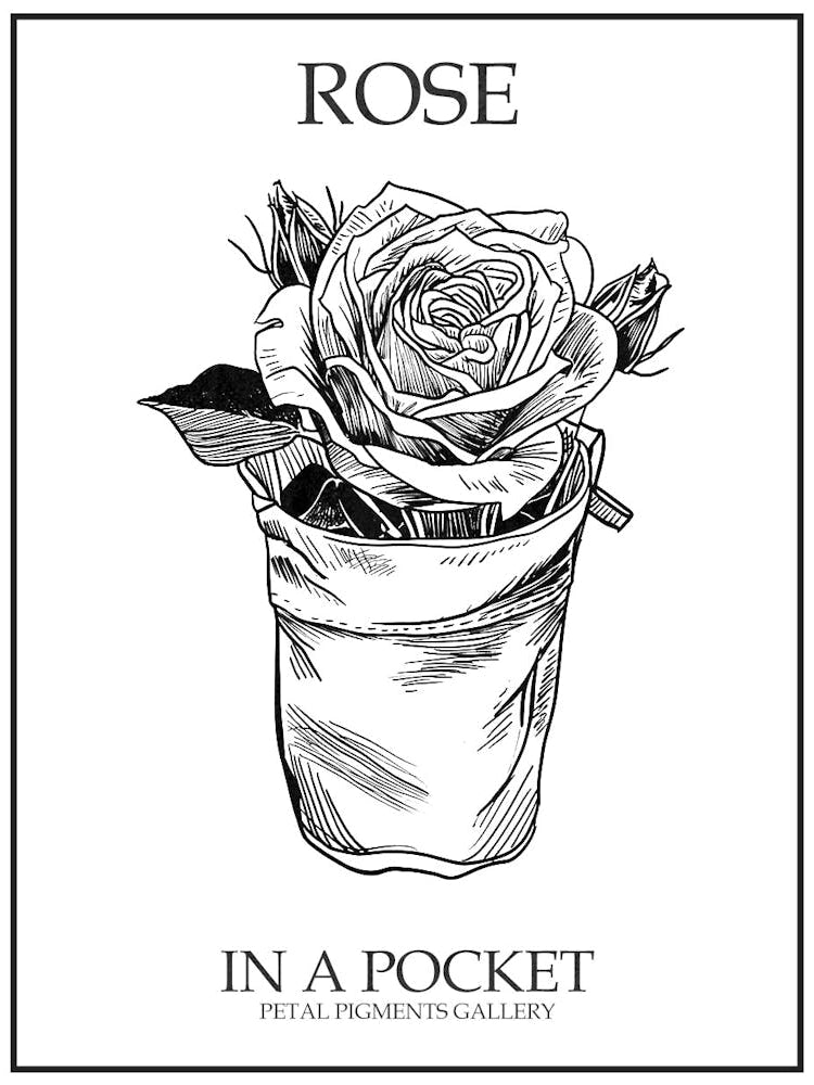 Rose In A Pocket Line Drawing 2 Poster