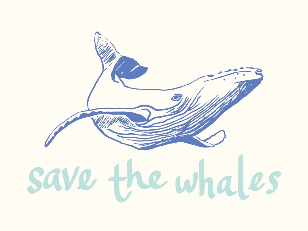 Save The Whales