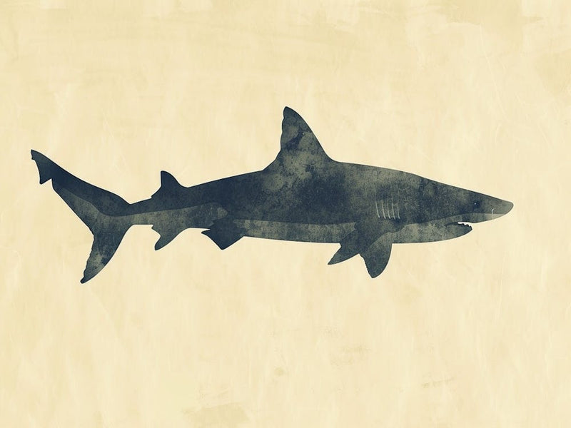 Isistius Genus Shark Silhouette 5
