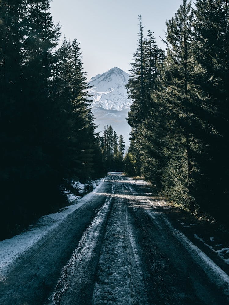 Road to Hood