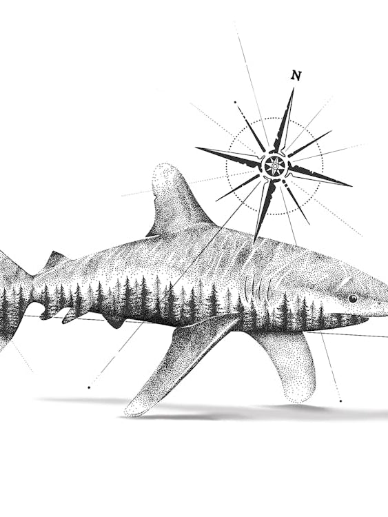 Wild Oceans - Nature Shark