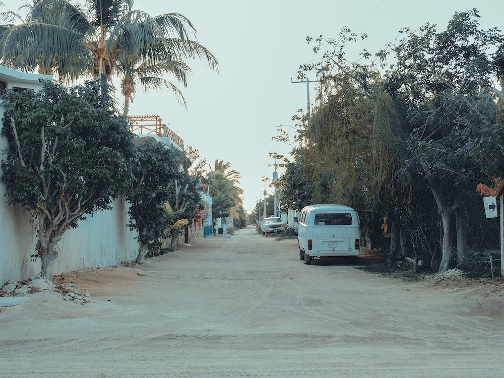 Sandy Streets With Palms On Isla Holbox Mexico