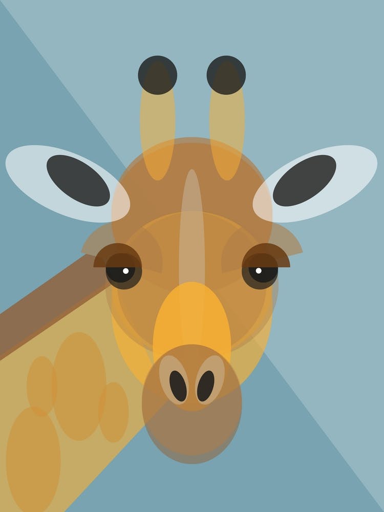 Geometric Giraffe