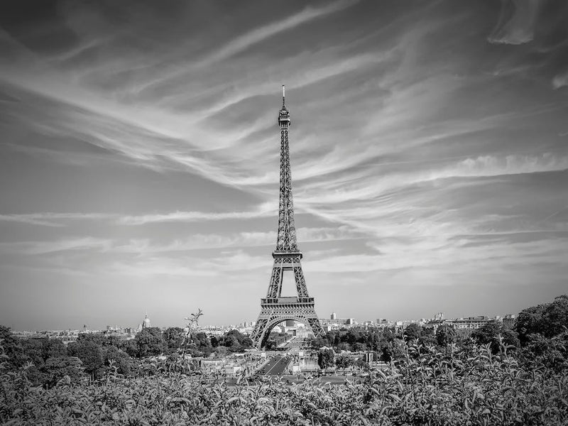 Paris Eiffel Tower With Skyline