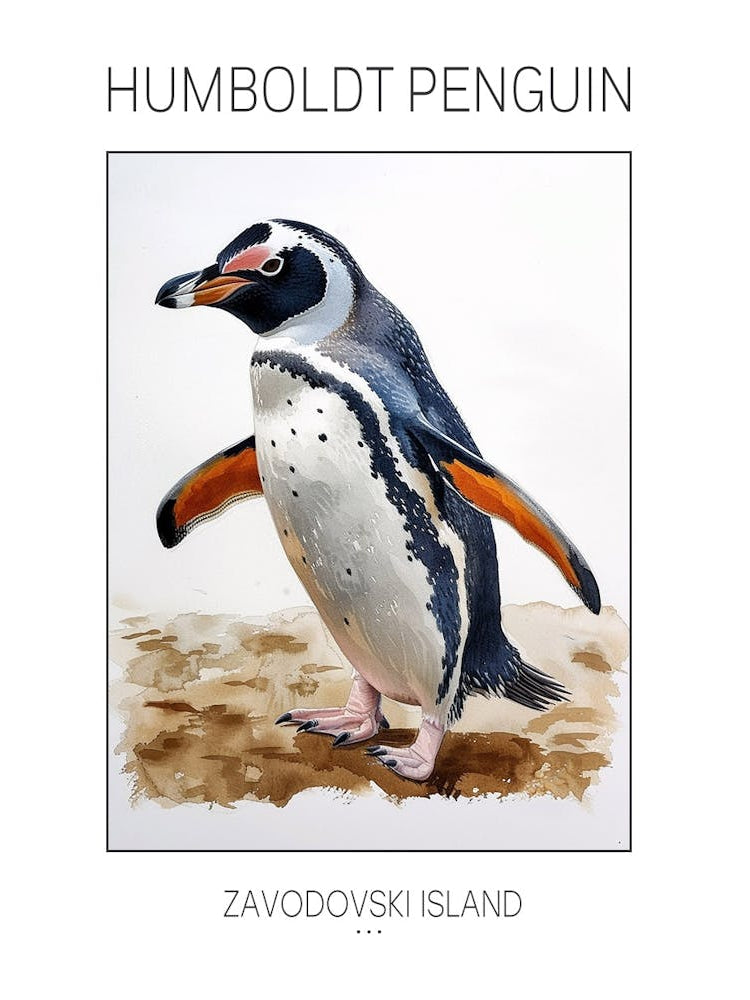Humboldt Penguin Zavodovski Island Watercolour Painting 5 Poster