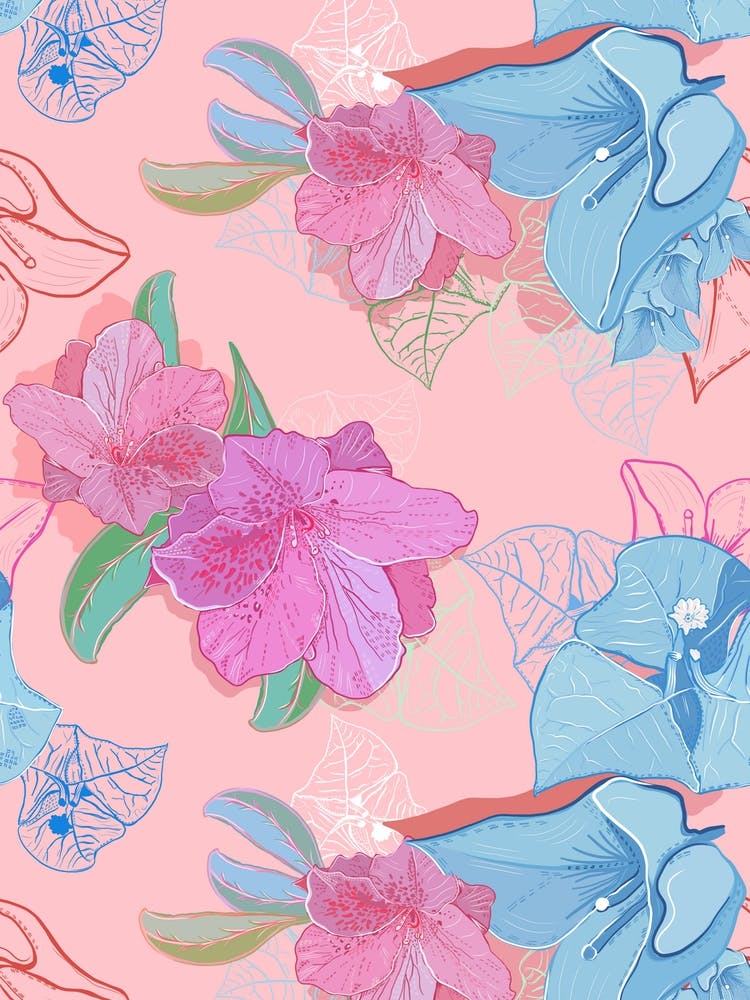 Bougainvillaea Summer Flowers