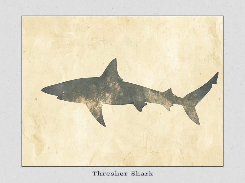 Thresher Shark Silhouette 8 Poster