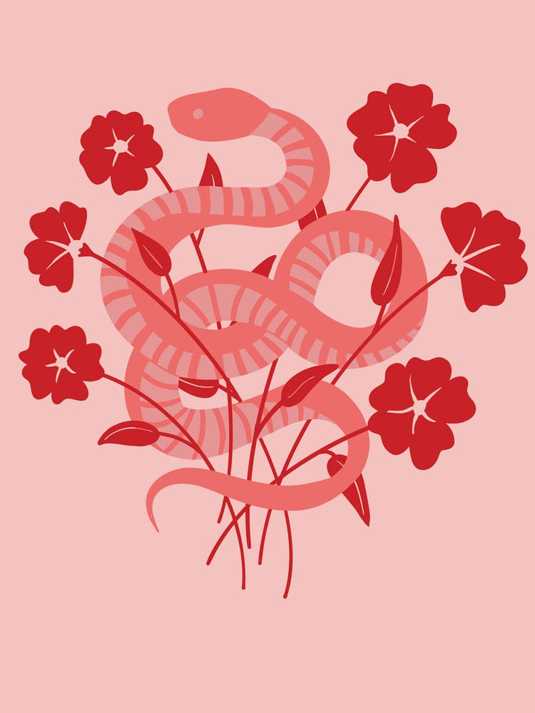 Ganz in Rosa Schlange