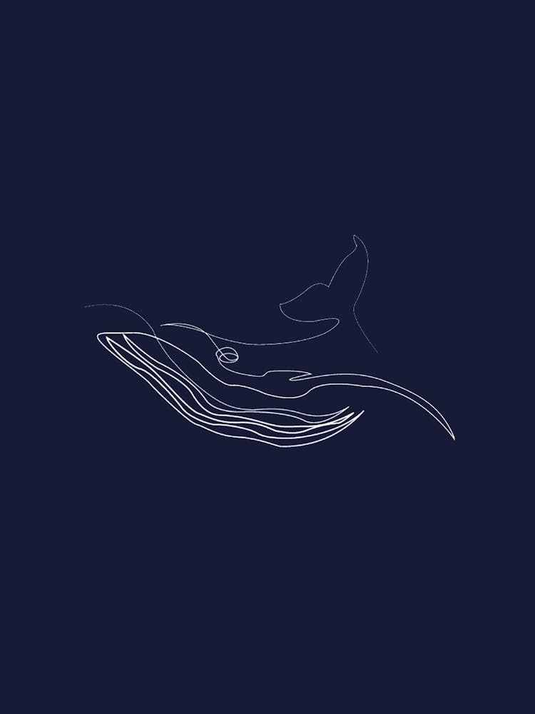 Whale - Line Art Series